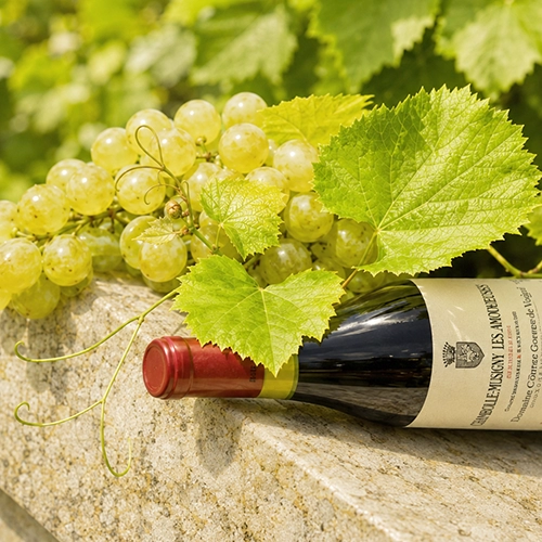 PINOT BLANC